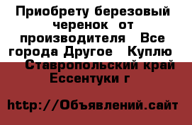 Приобрету березовый черенок  от производителя - Все города Другое » Куплю   . Ставропольский край,Ессентуки г.